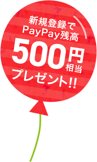 campaign500