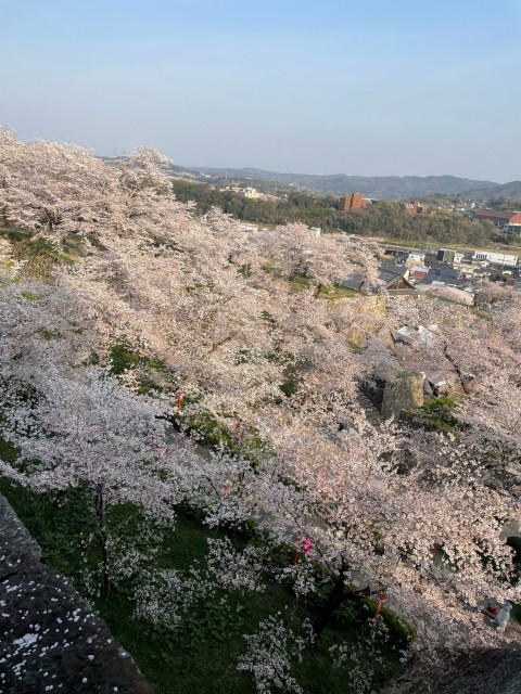 4月14日ブログ用 (5)