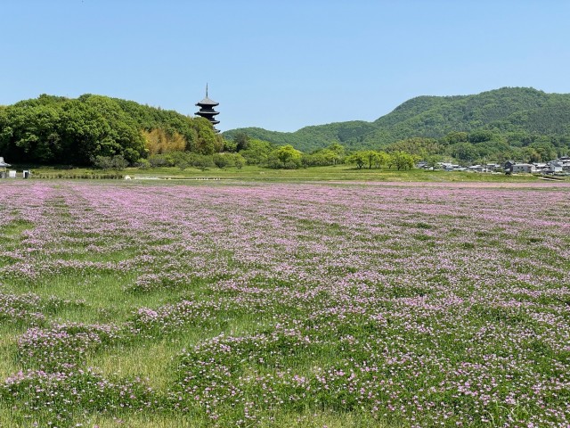 5月1日ブログ用 (2)