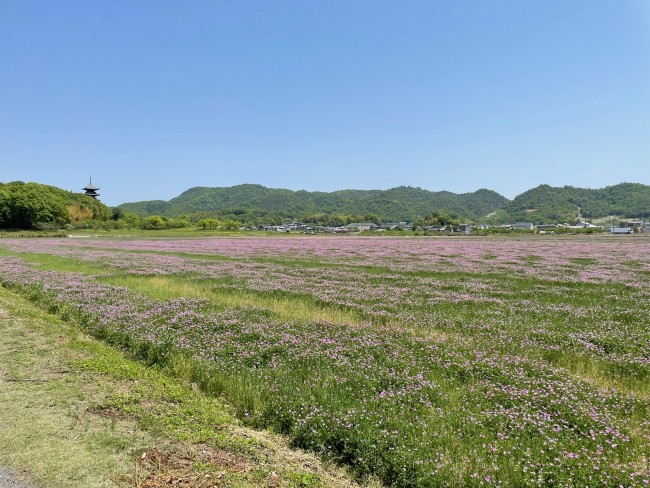 5月1日ブログ用 (5)