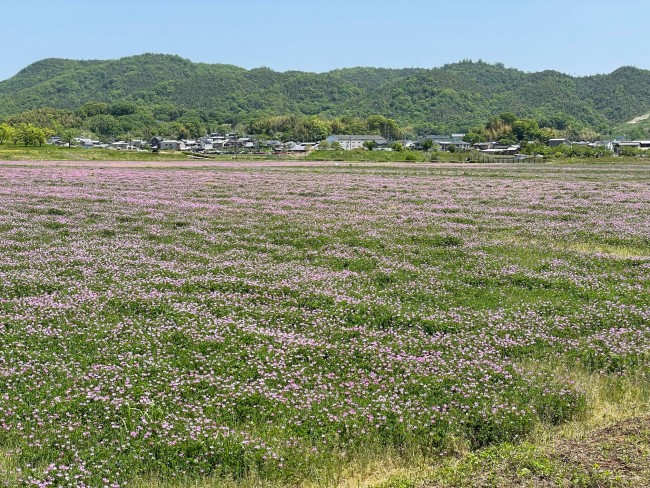 5月1日ブログ用 (1)