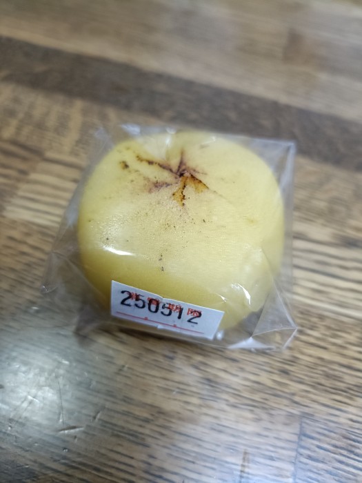 IMG20250511003333