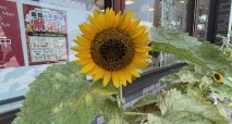 IMG_3295