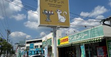 IMG_7799