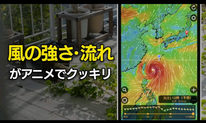 Screenshot_20251107-205538_20251107205703