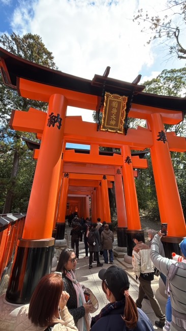 41B62B6D-2A08-4172-A615-7022BD5E086E