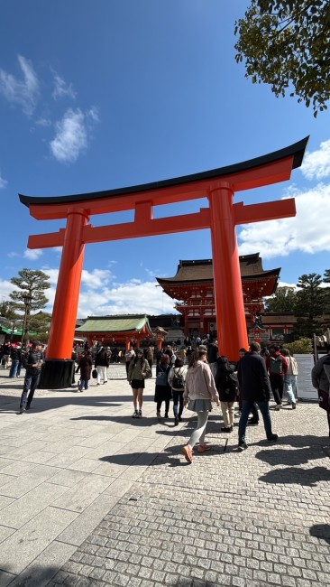 C2E47AA4-E8AB-4034-A6F1-B40701503FDD