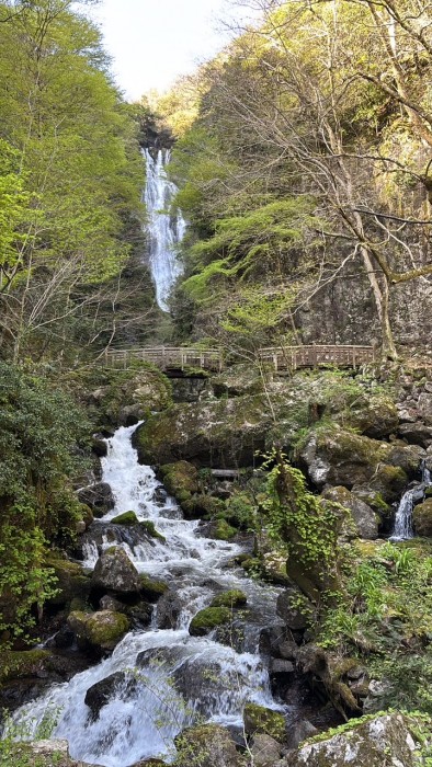 21A04AF0-2A9C-4FCC-9992-6092EFC84897