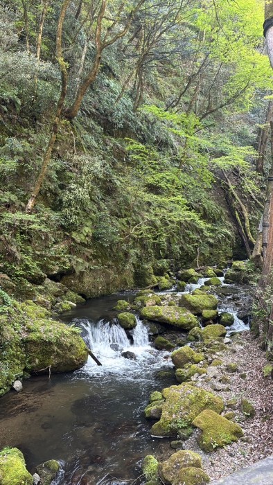 68A8A1EE-2850-45B4-996A-A059030B1372