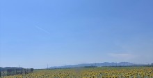 IMG_2388