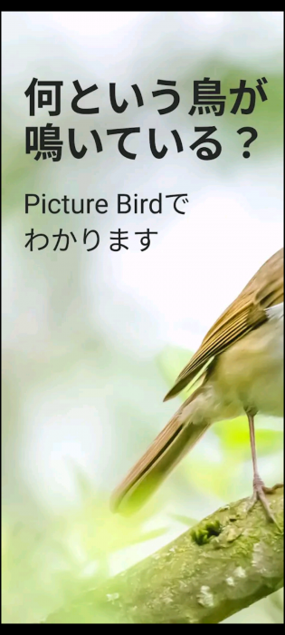 Screenshot_20260502-125233_20260502125410