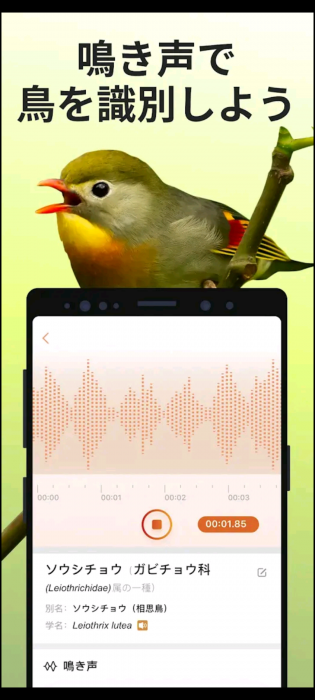 Screenshot_20260502-125241_20260502125409