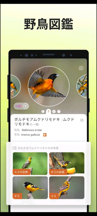 Screenshot_20260502-125245_20260502125408