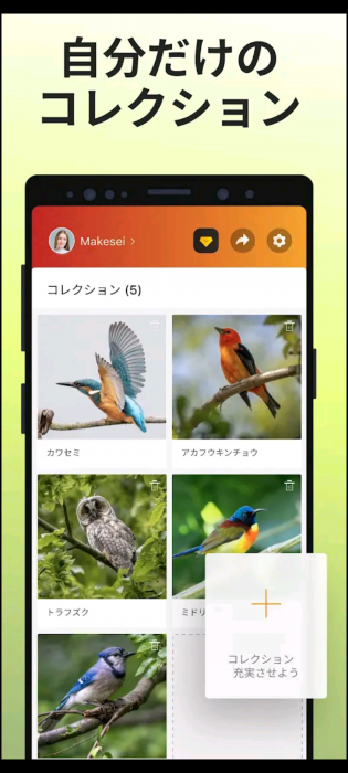 Screenshot_20260502-125253_20260502125406
