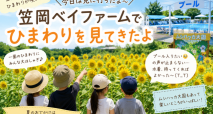 103EB07C-B7B5-45B9-9A34-93FDF3887DDC
