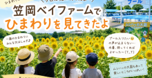 103EB07C-B7B5-45B9-9A34-93FDF3887DDC