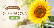 6515D8DE-0728-4DE0-B614-AD130AE420B5