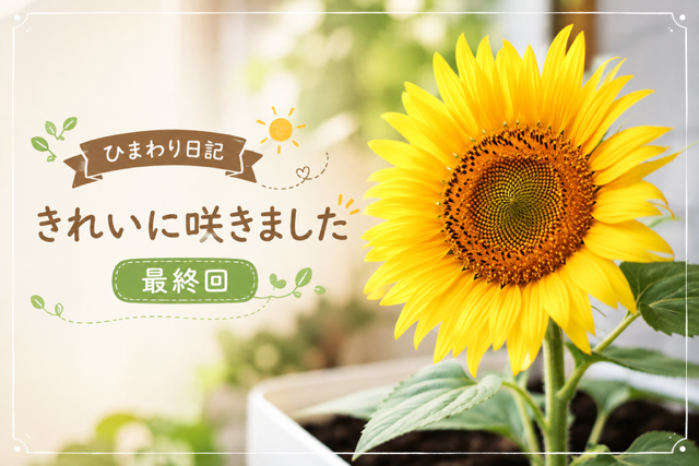 6515D8DE-0728-4DE0-B614-AD130AE420B5